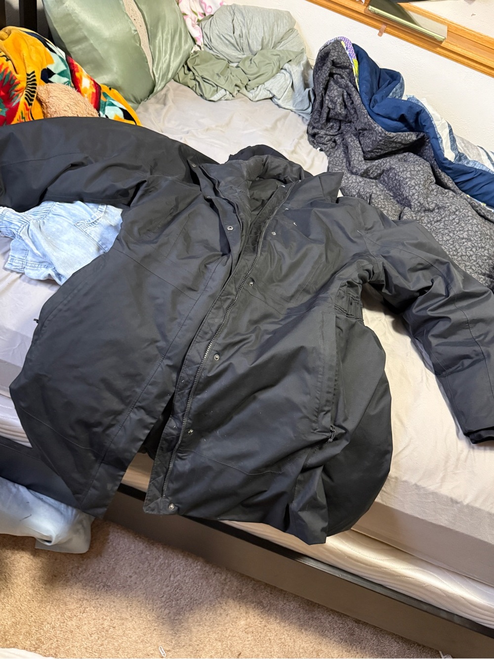 Women's Black Insulated Winter Coat - Classic Warm Parka